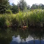 Wollgast * Lubben