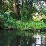 Wollgast