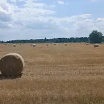 Wollgast Lubben