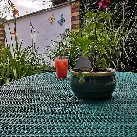 Spreewald Wollgast Lübben