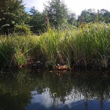 Spreewald Wollgast * Lübben