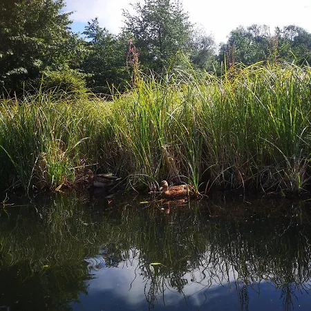 Spreewald Wollgast * Lübben