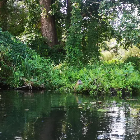 Spreewald Wollgast