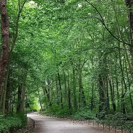 Spreewald Wollgast Apartmán *