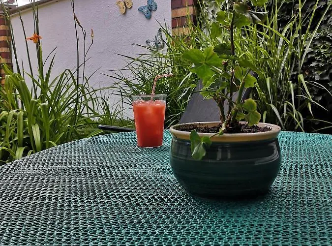 Spreewald Wollgast Lübben