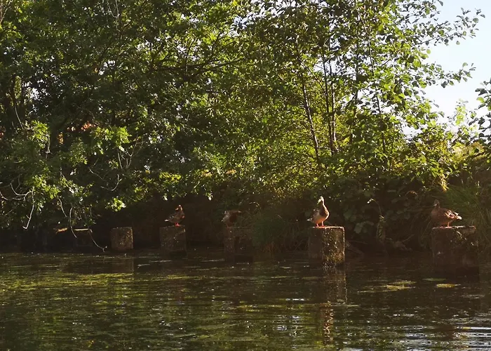 Lejlighed Spreewald Wollgast Lübben