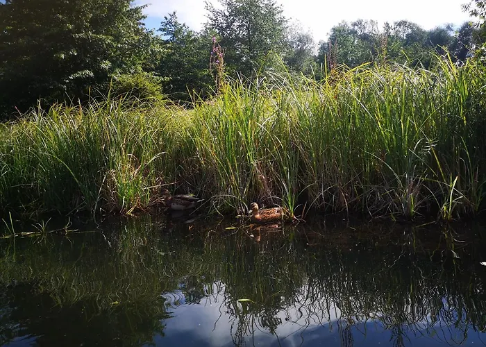 Spreewald Wollgast * Lübben