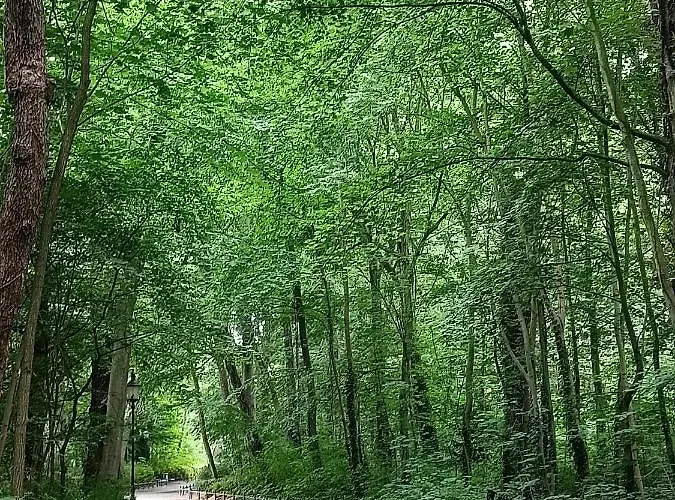 Spreewald Wollgast Lejlighed *