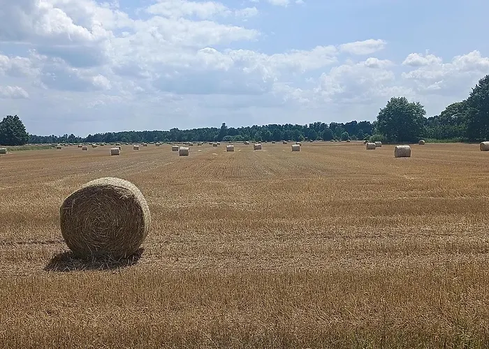 Spreewald Wollgast Lübben